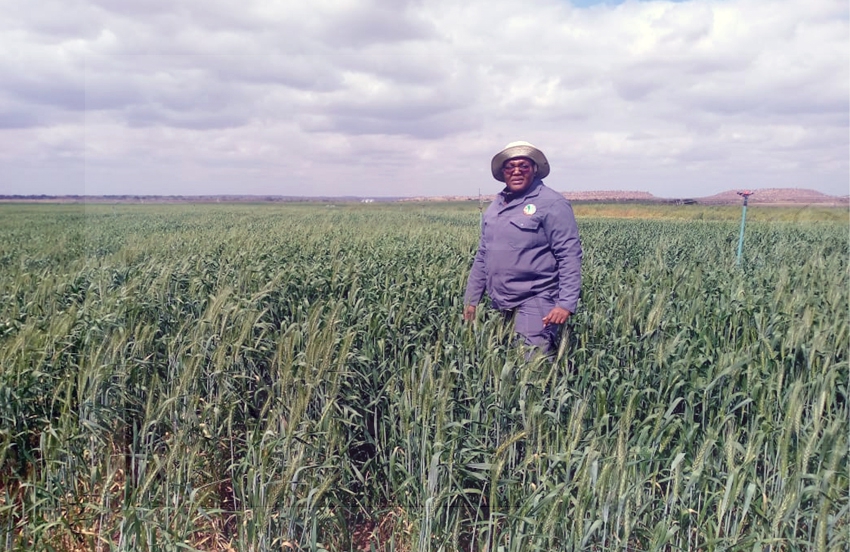 Bobirwa Farmers Brace for Lemang Dijo Rollout