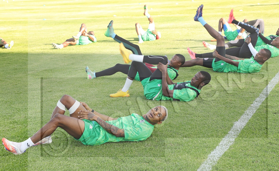 Zebras Training Camp a Success