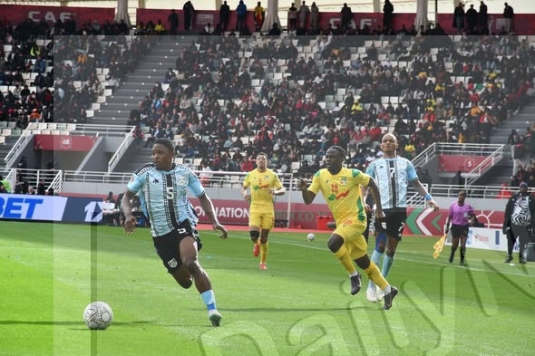 Zebras Aim to Redeem Pride Against DRC