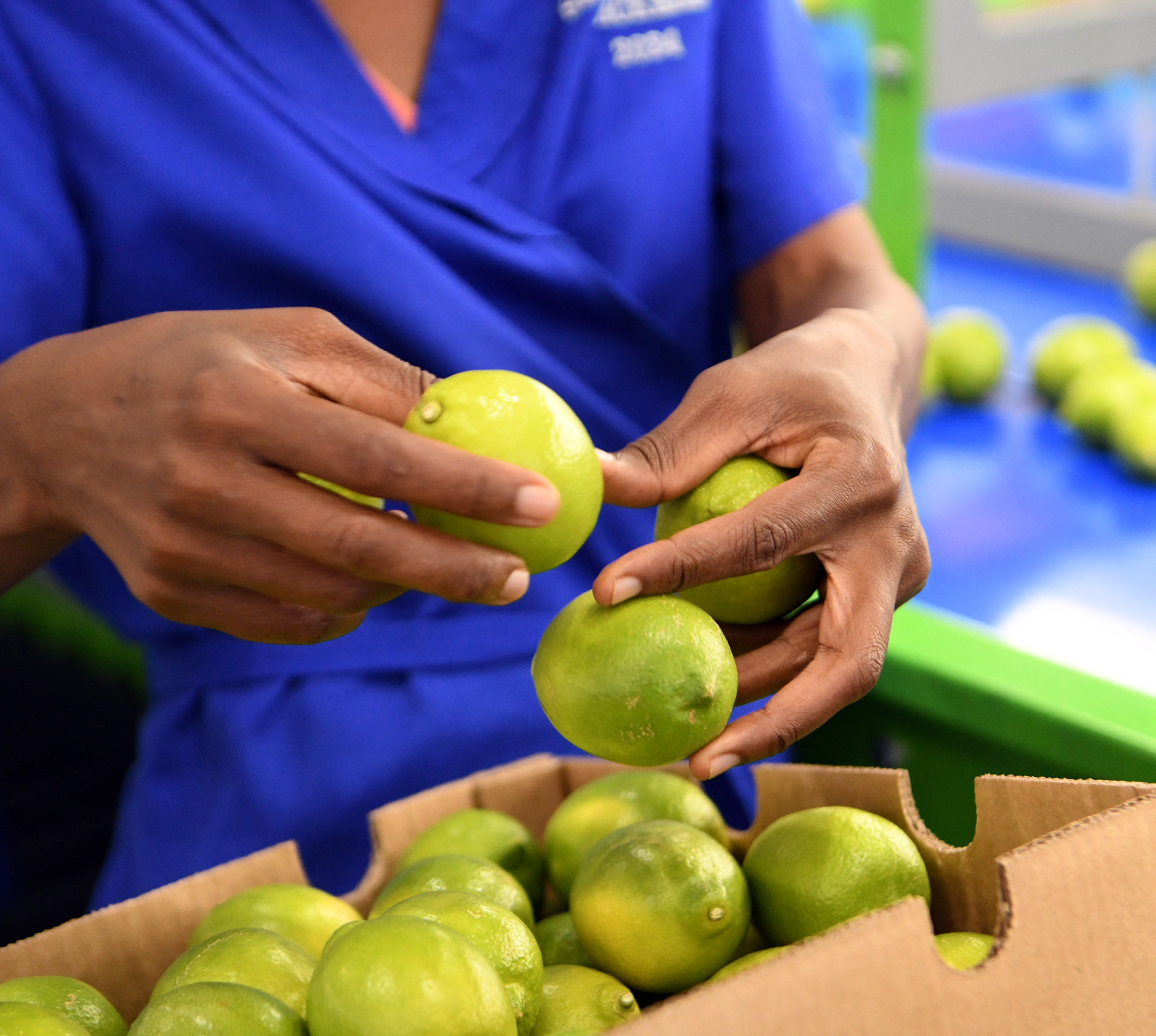 BNPC and SEZA Partner to Address Productivity Challenges