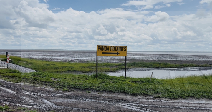 Pandamatenga farmers count losses following heavy rains