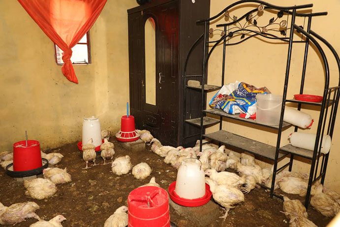 Farmers Call for Government Assistance