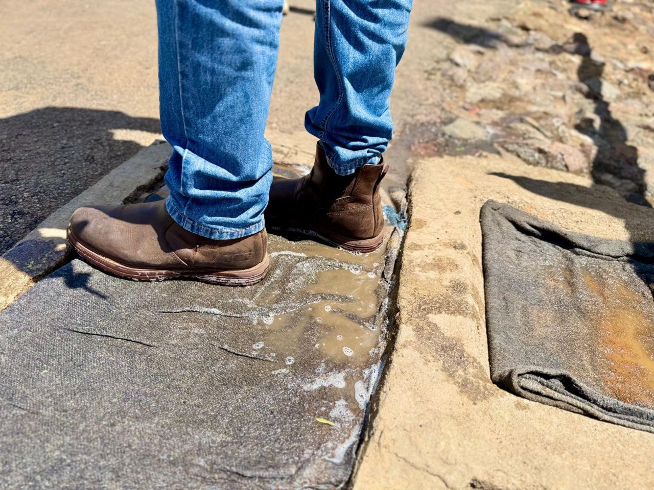 Farmers unity panacea for FMD fight