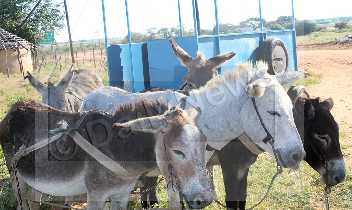 Find Alternative Transport for Learners