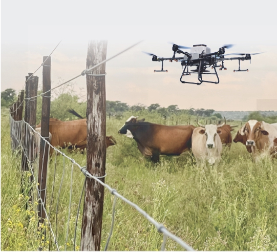 Government Deploys Drones for FMD Surveillance