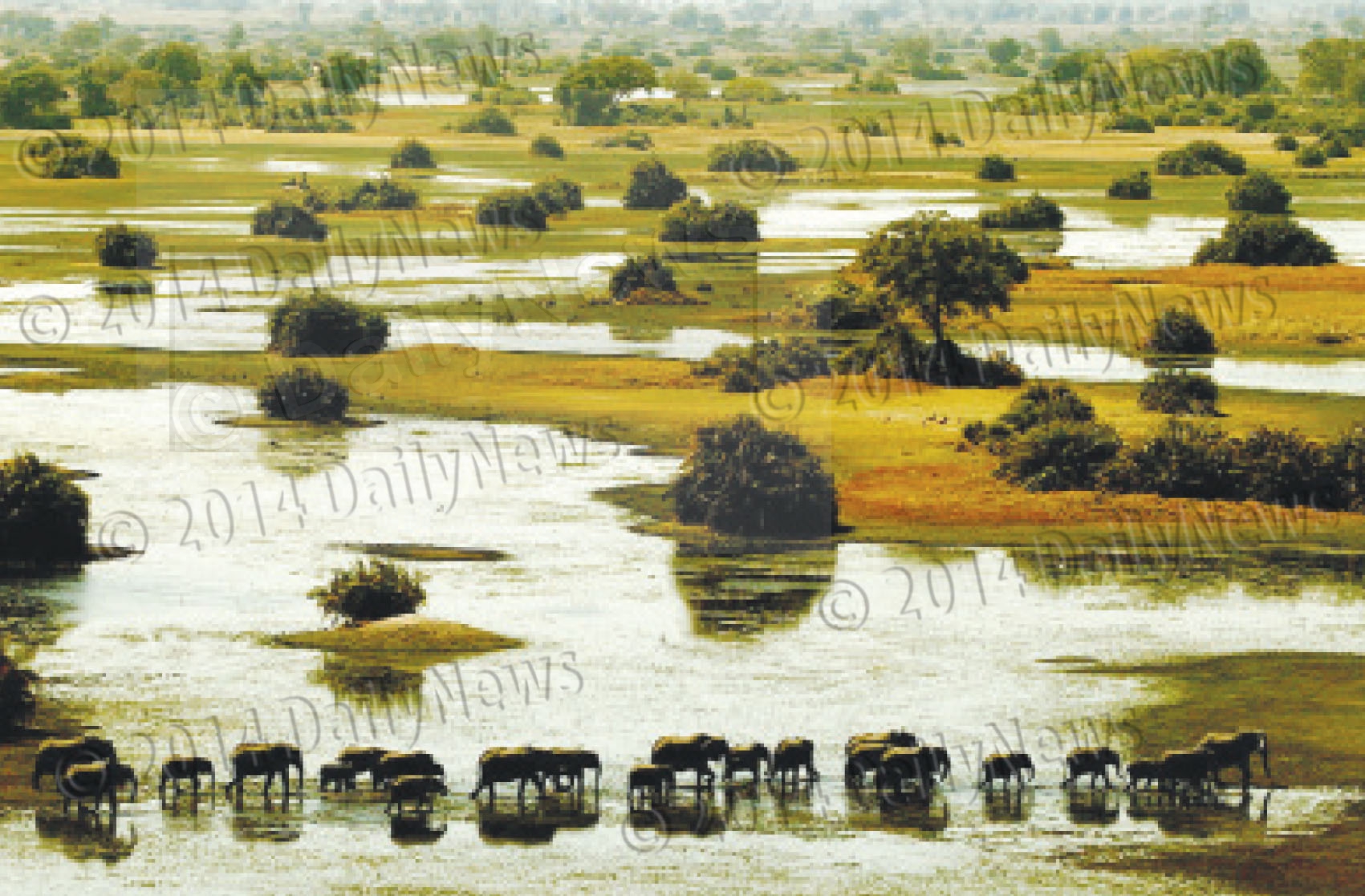 Reduce Congestion in Okavango Delta