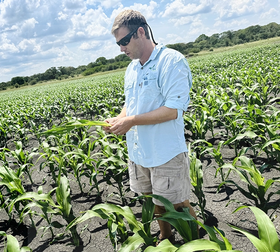 Pandamatenga farmers return to full operation
