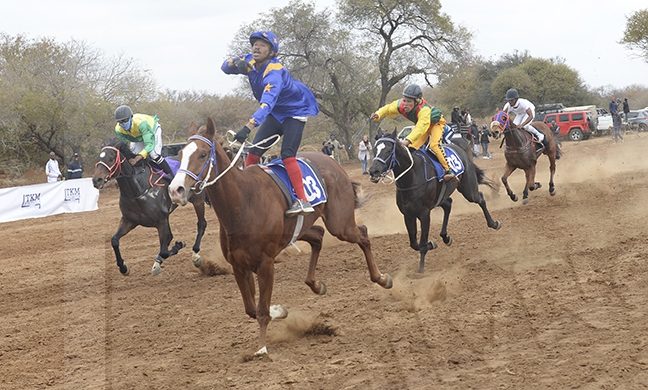 Horses ready to trot at Ma-Sa Easter Cup race