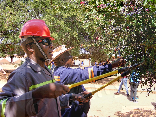 Mbizi initiative brings schools back to life