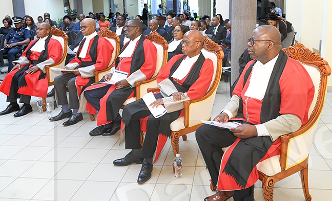 Human rights concerns drive ConCourt demand