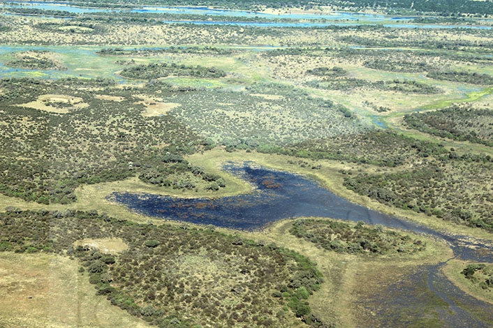 Moremi Road Reopening Eases Tourism
