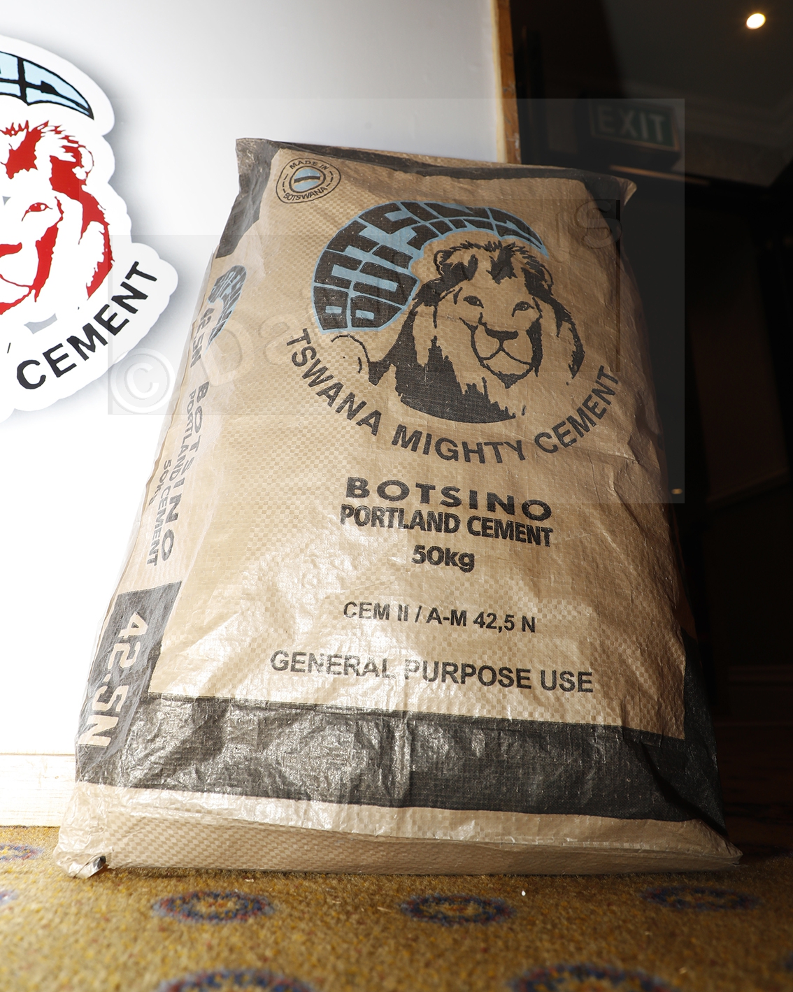 Botsino Cement Drives Construction Sector
