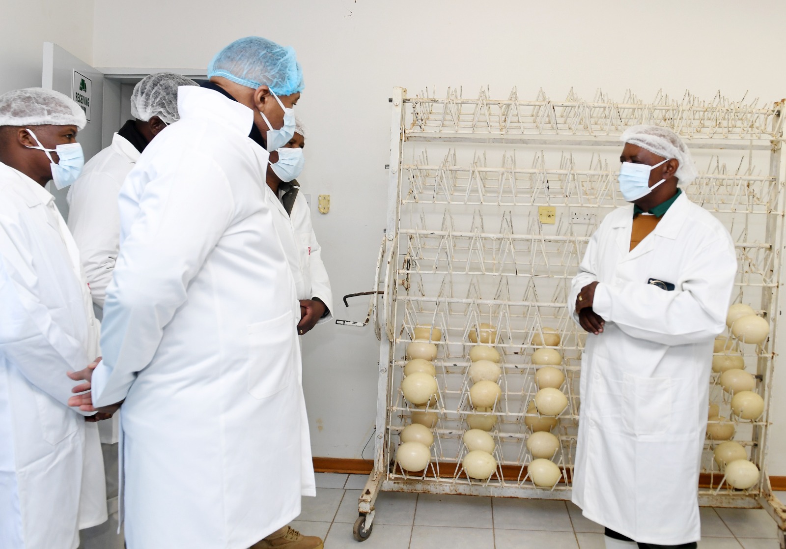 Ostrich To Spur Economic Gains