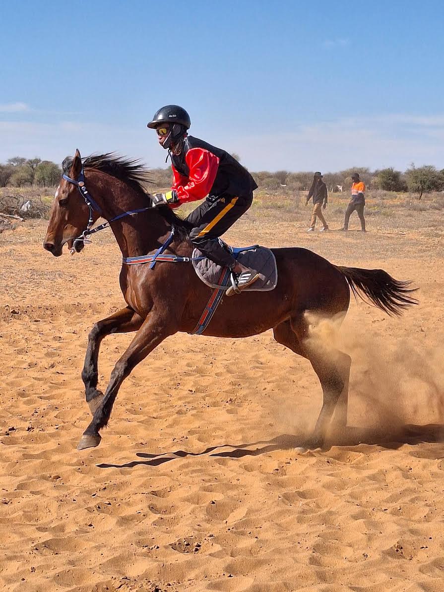 King of Satim claims top honours
