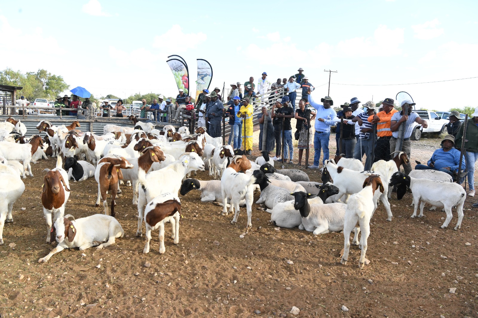 Bogodu jwa dihutshane bo keketse