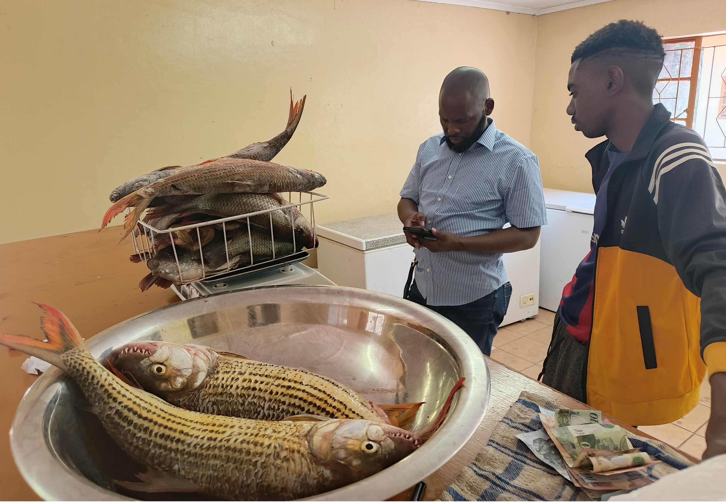 Government to pursue aquaculture development zones