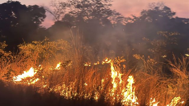 Prescribed fire burning vital for conservation